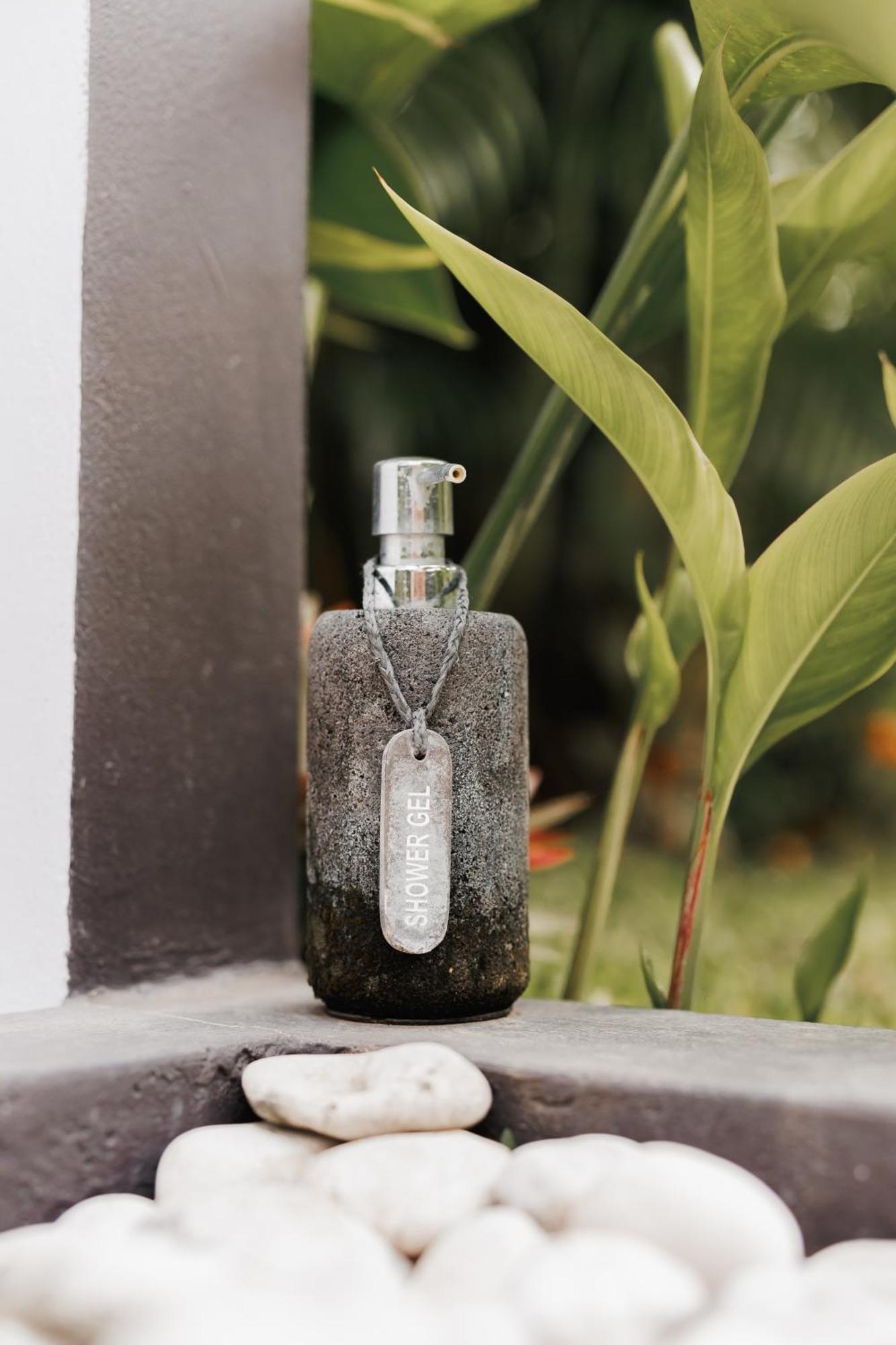 Villa Leonora Ubud  Ngoại thất bức ảnh